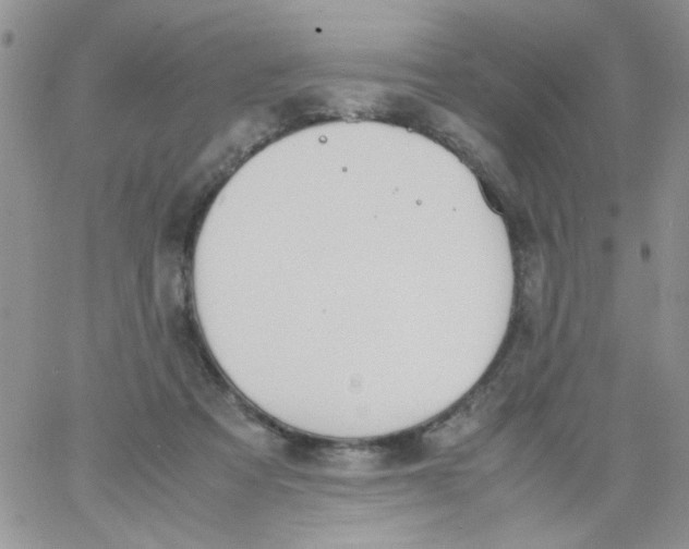 X0000064040313200602242327