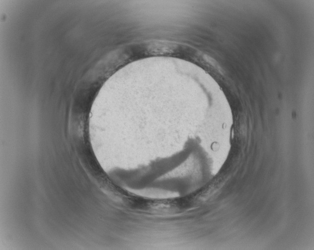 X0000064040315200602242327