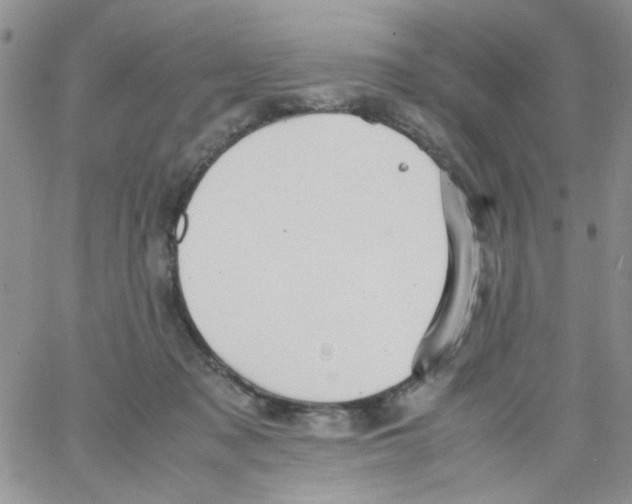 X0000064040317200602242327