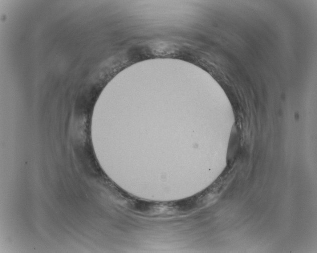 X0000064040319200602242327