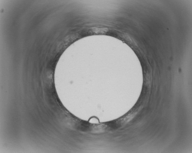 X0000064040321200602242327