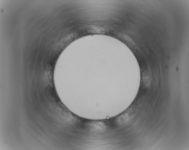 X0000064040322200602242327