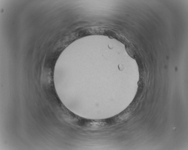 X0000064040323200602242327