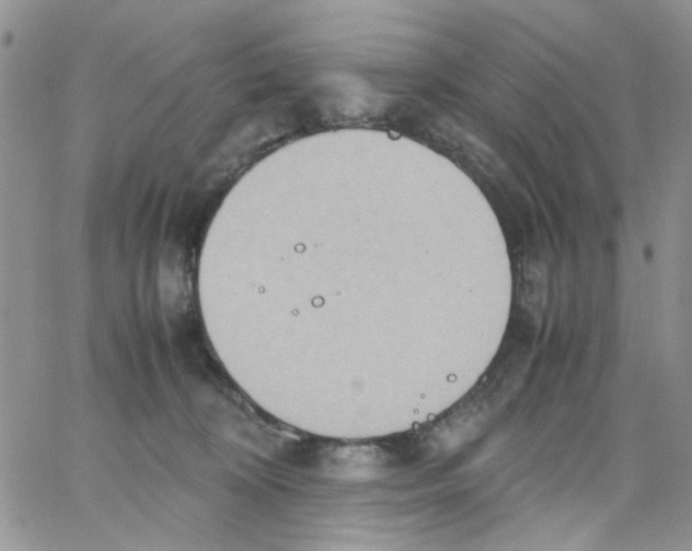 X0000064040324200602242327