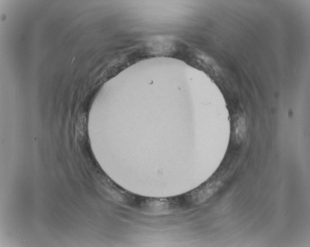 X0000064040325200602242327