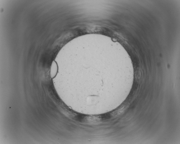 X0000064040327200602242327