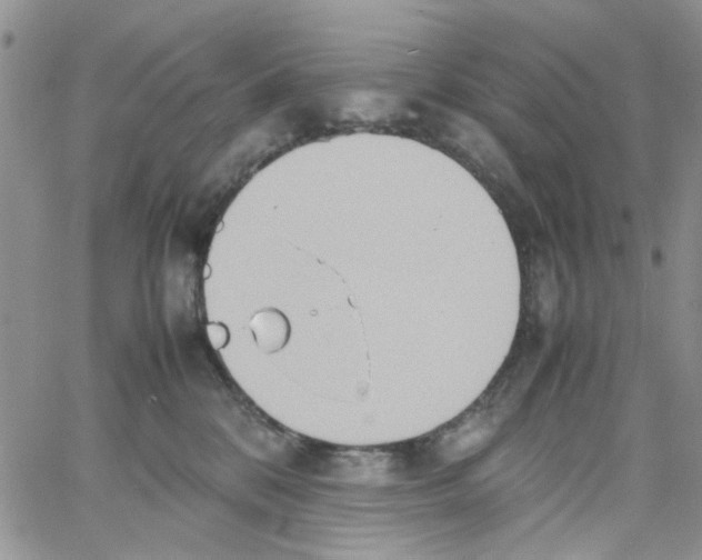 X0000064040328200602242327