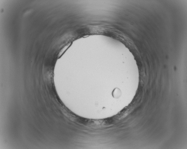 X0000064040329200602242327