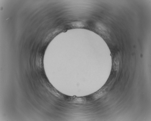 X0000064040330200602242327