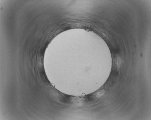 X0000064040331200602242327