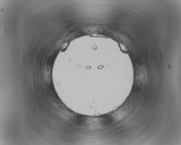 X0000064040332200602242327