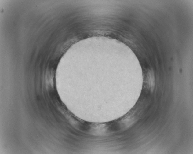 X0000064040334200602242327