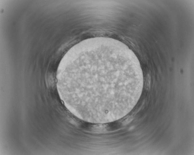 X0000064040335200602242327