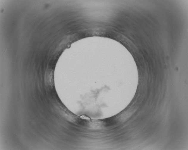 X0000064040336200602242327