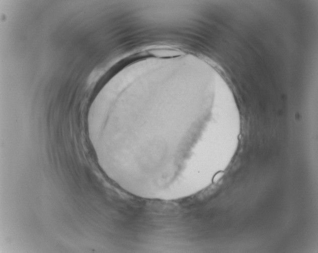 X0000064040337200602242326