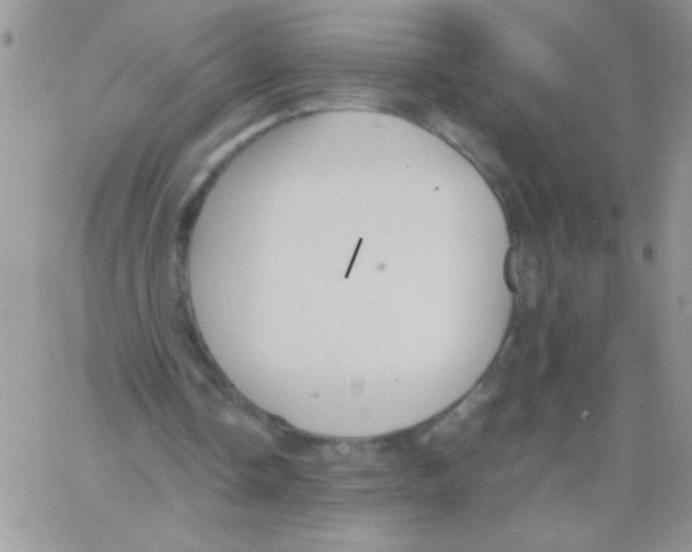 X0000064040338200602242326