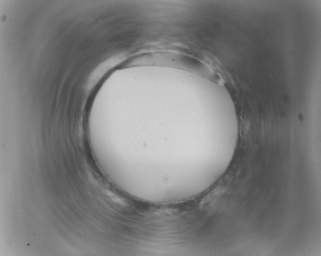 X0000064040340200602242326