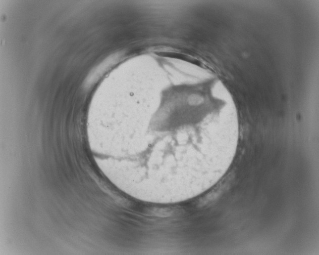 X0000064040341200602242326