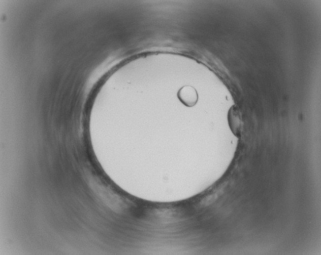 X0000064040344200602242326