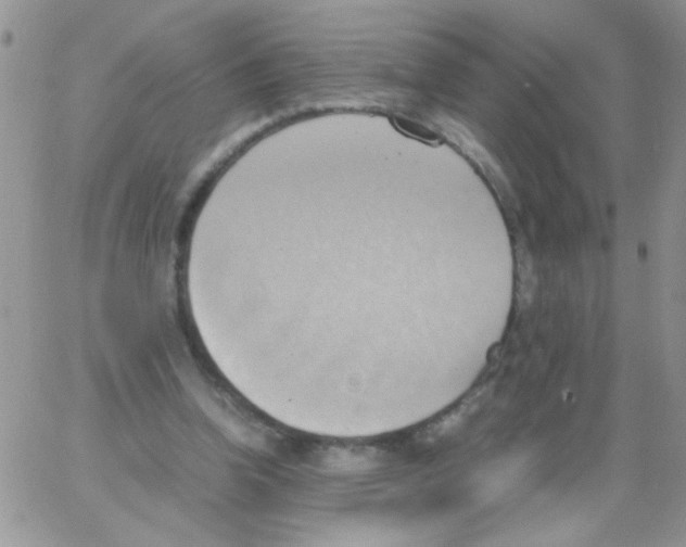 X0000064040346200602242326