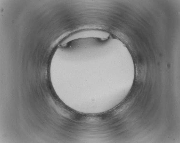 X0000064040348200602242326