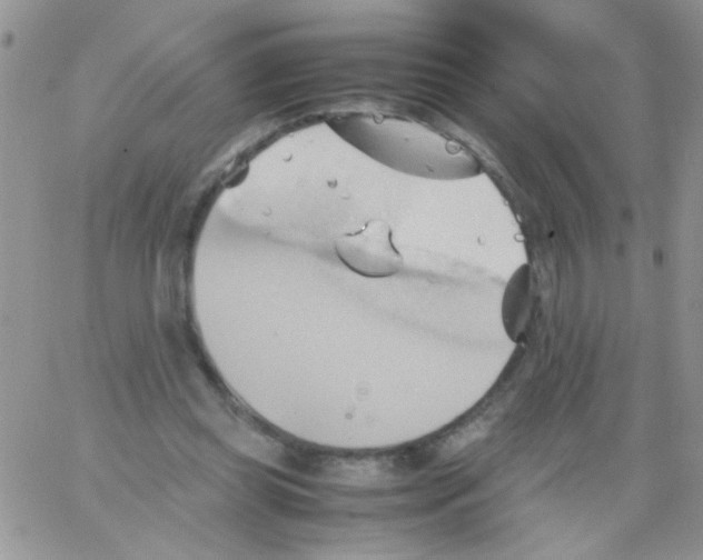 X0000064040349200602242326