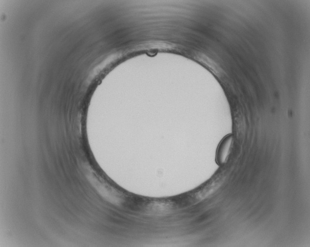 X0000064040350200602242326