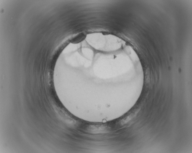 X0000064040351200602242326