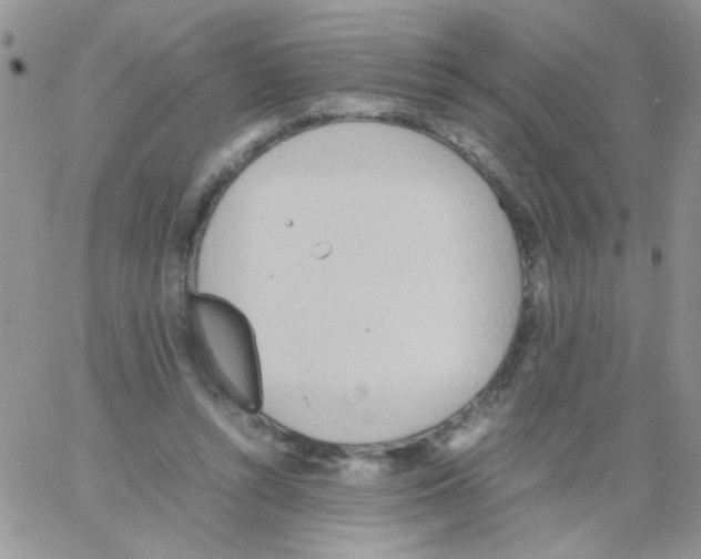 X0000064040352200602242326