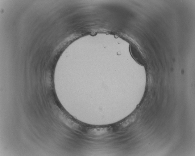 X0000064040353200602242326