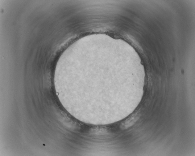 X0000064040354200602242326