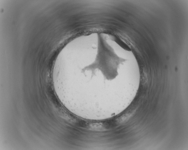 X0000064040355200602242326