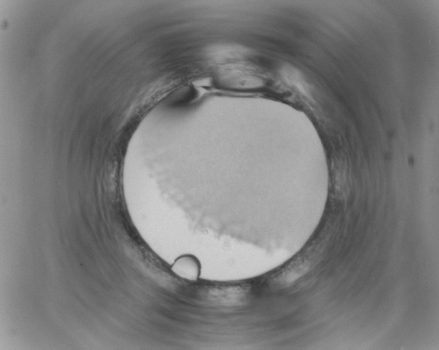 X0000064040357200602242326