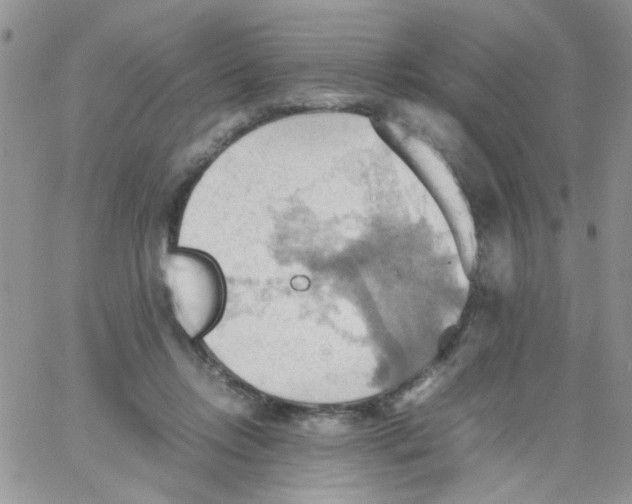 X0000064040358200602242326