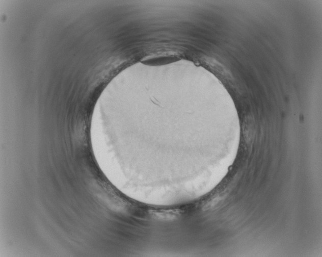 X0000064040359200602242326