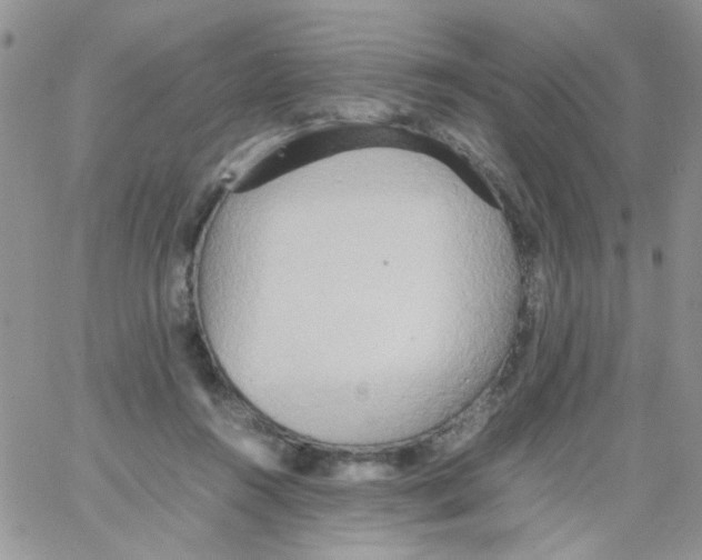 X0000064040360200602242326