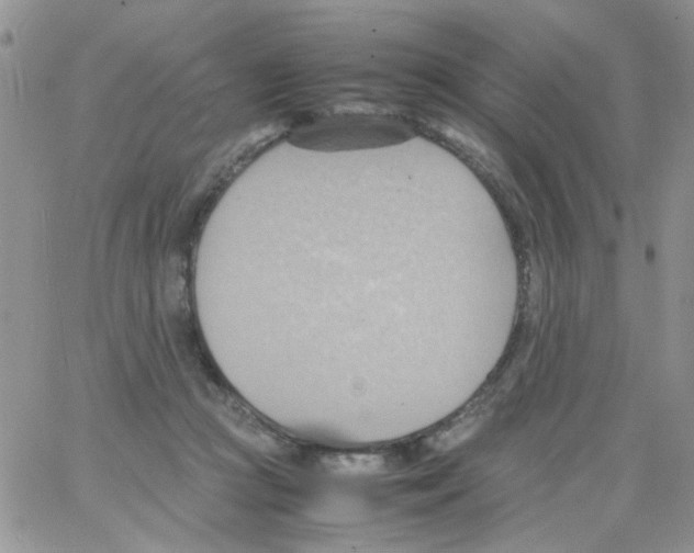 X0000064040361200602242326