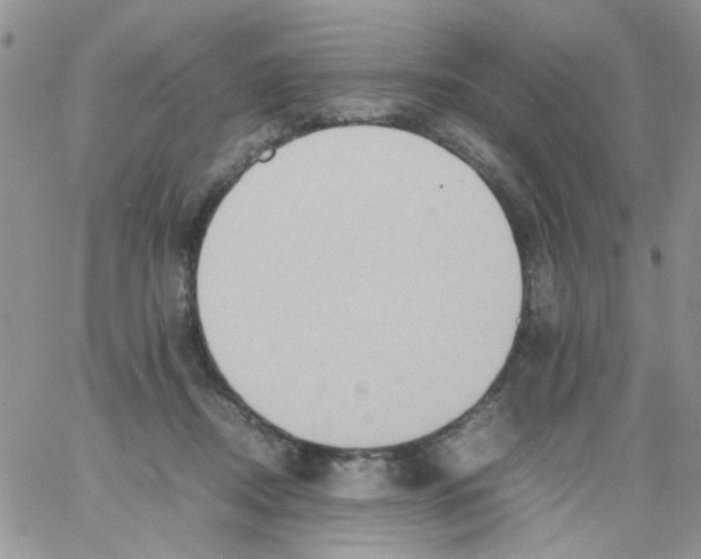 X0000064040362200602242326