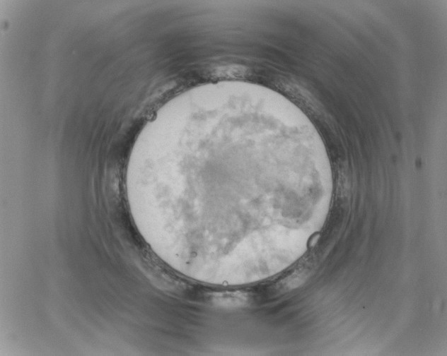 X0000064040363200602242326