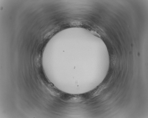 X0000064040364200602242326