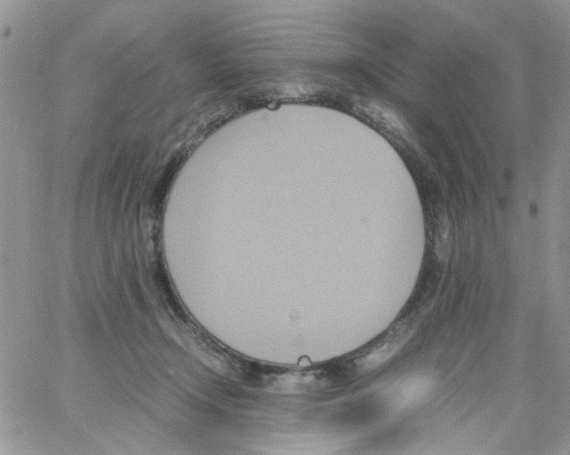 X0000064040366200602242326