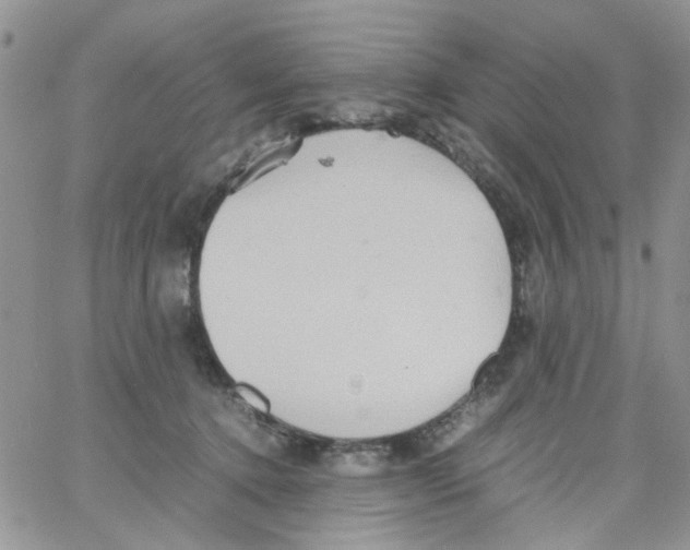 X0000064040368200602242326