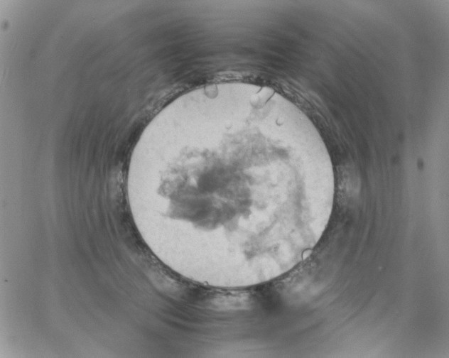 X0000064040369200602242326