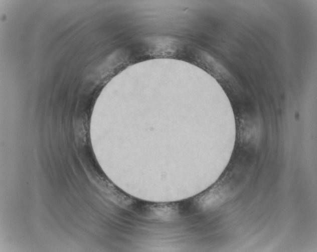 X0000064040370200602242326