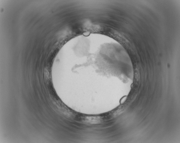 X0000064040371200602242326