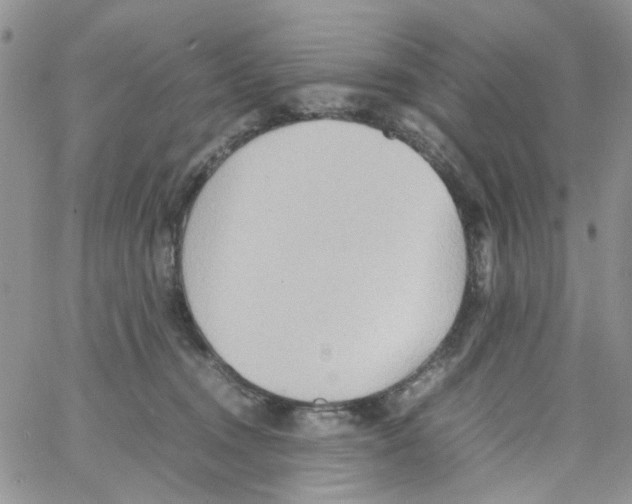 X0000064040372200602242326