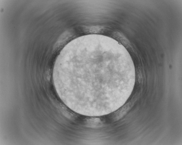 X0000064040374200602242326