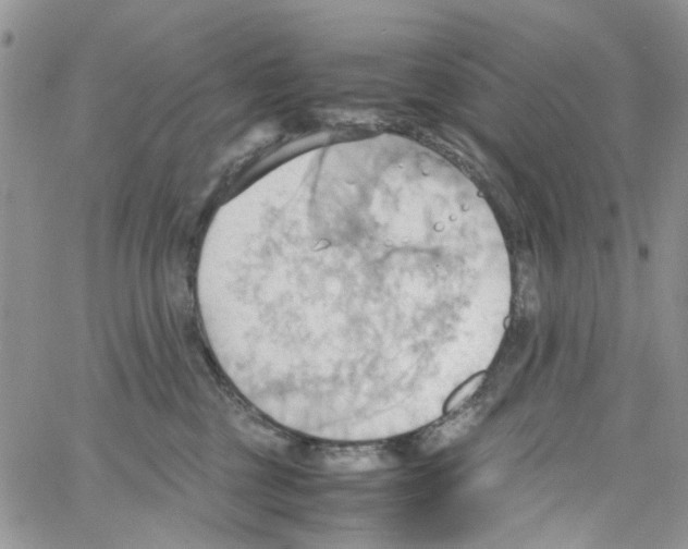 X0000064040377200602242326