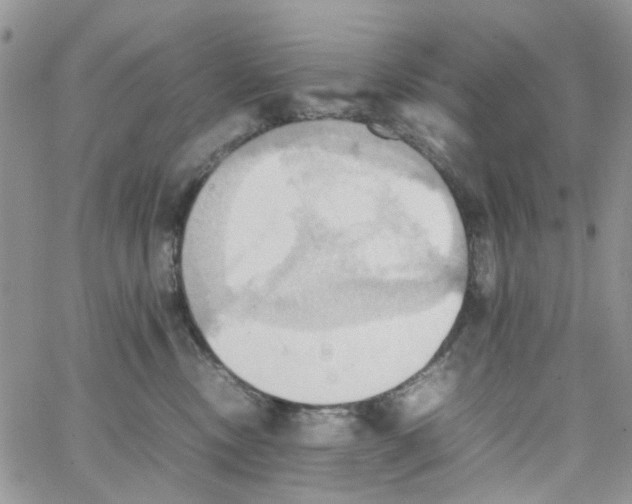 X0000064040378200602242326