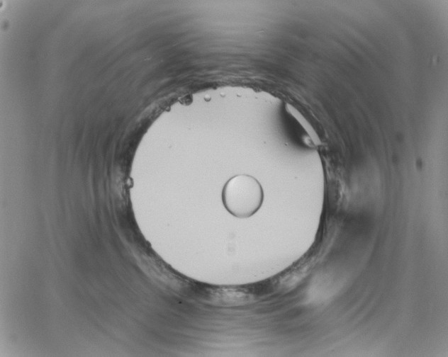 X0000064040380200602242326